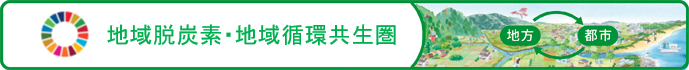 地域循環共生圏