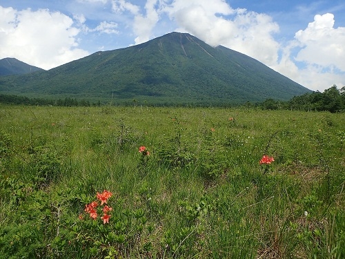 戦場ヶ原風景写真