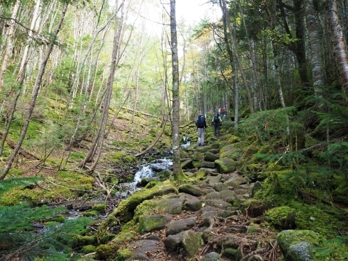 千曲川源流遊歩道