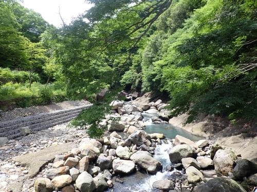 代替えテキスト