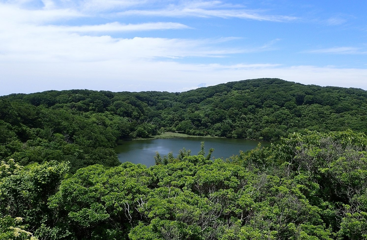 代替えテキスト