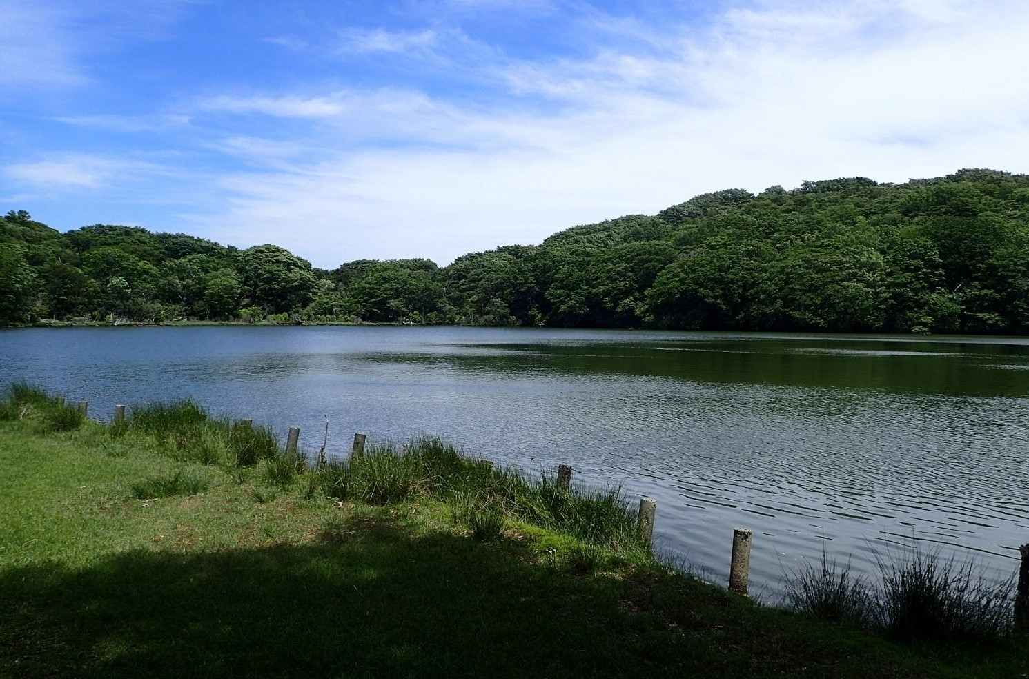 代替えテキスト