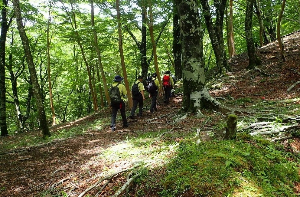 代替えテキスト