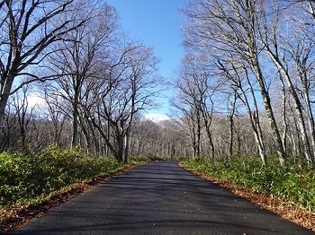 御池に向かう道路、燧ヶ岳が顔を出す