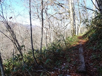 燧ヶ岳南側の状況