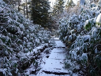 白砂峠の積雪状況