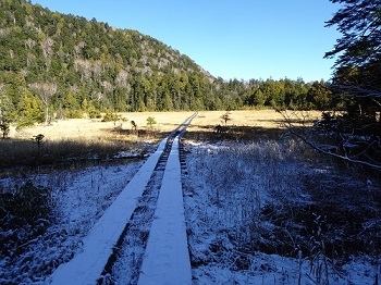 白砂湿原に降りてきたところ 