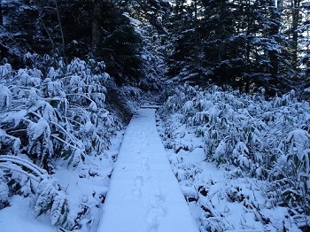 沼山峠の積雪状況