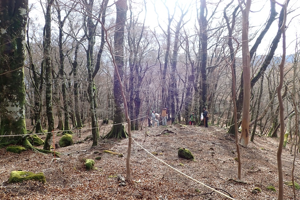 代替えテキスト