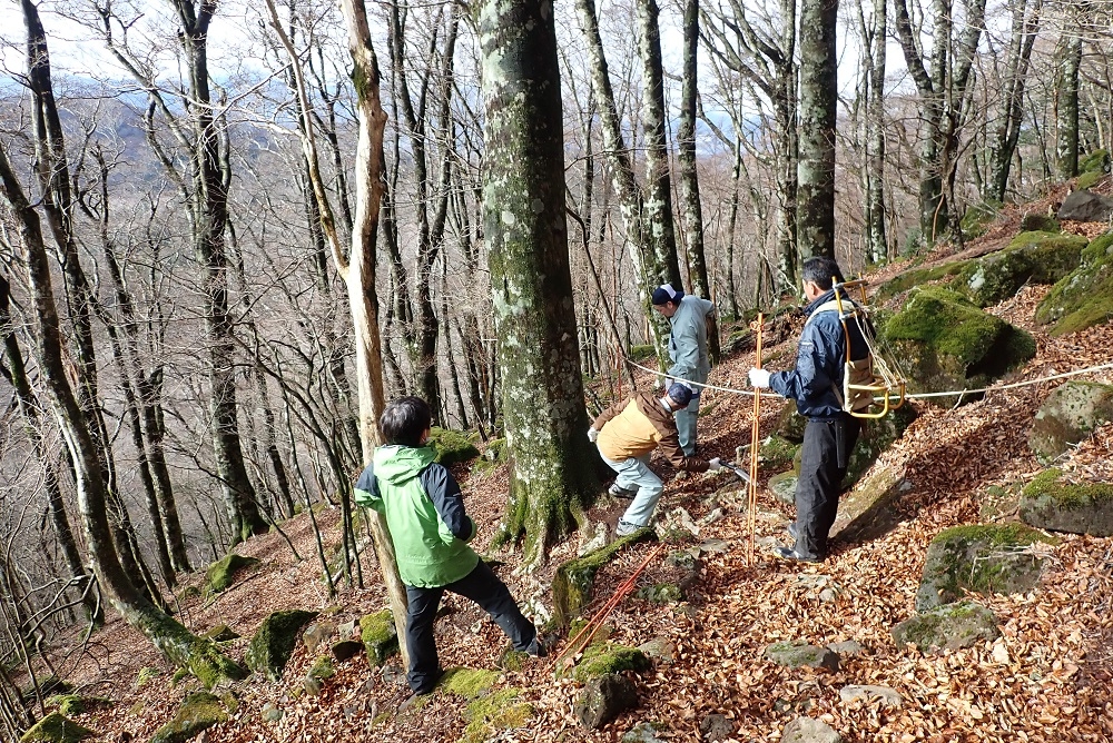 代替えテキスト