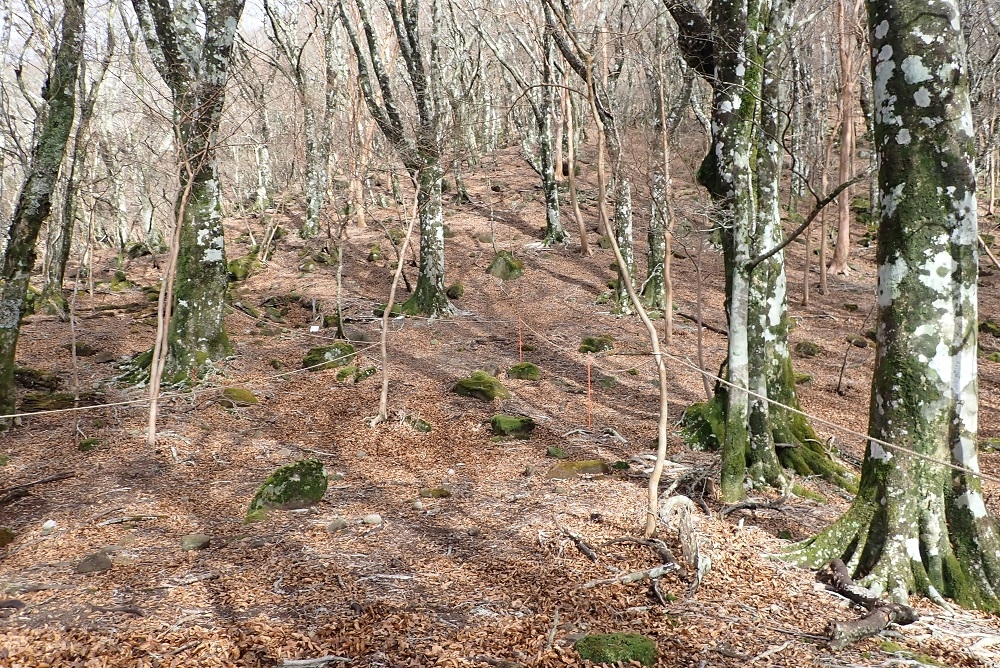 代替えテキスト