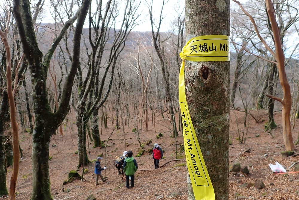 代替えテキスト