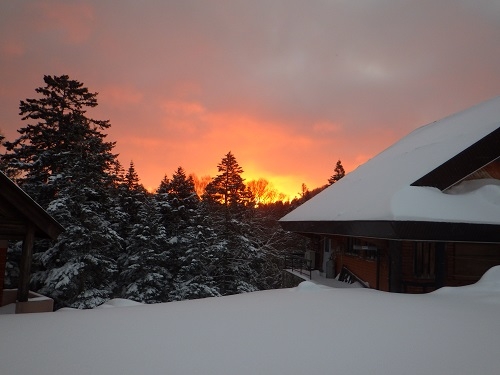 代替えテキスト