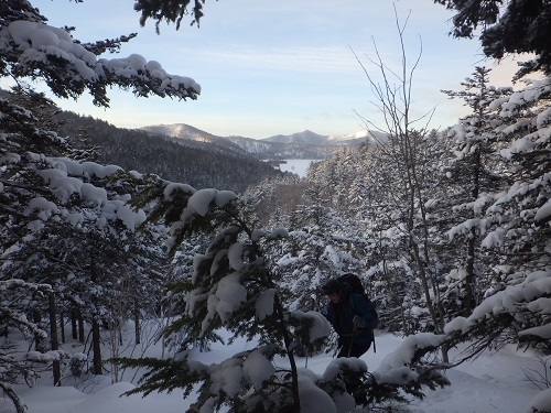 代替えテキスト