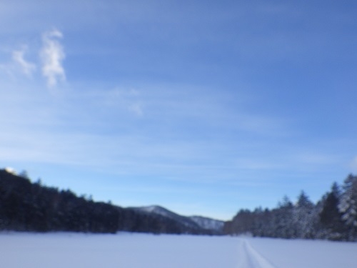 代替えテキスト