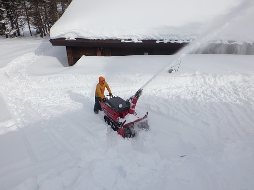 代替えテキスト