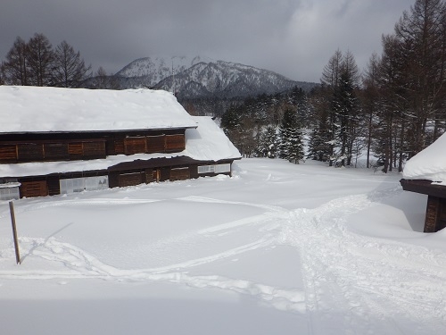 代替えテキスト