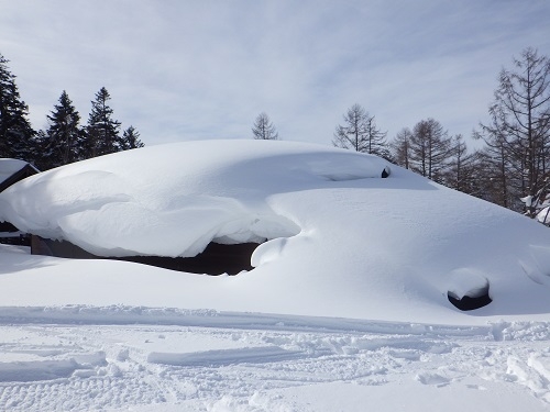 代替えテキスト