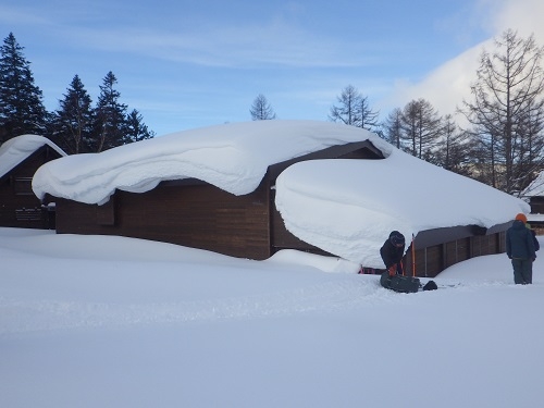 代替えテキスト