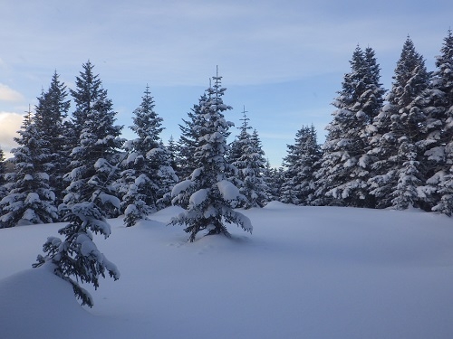 代替えテキスト