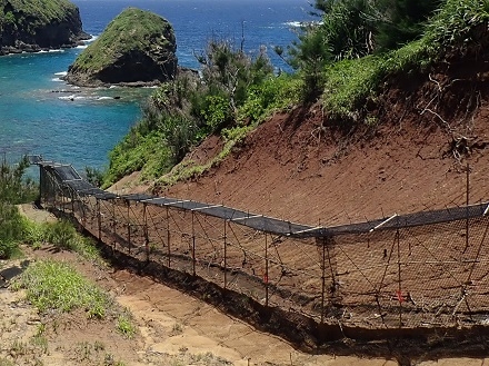 母島南崎のノネコ侵入防止柵