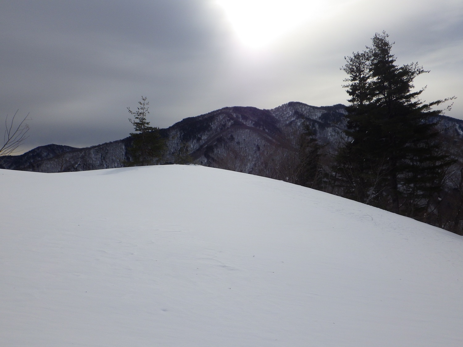 代替えテキスト