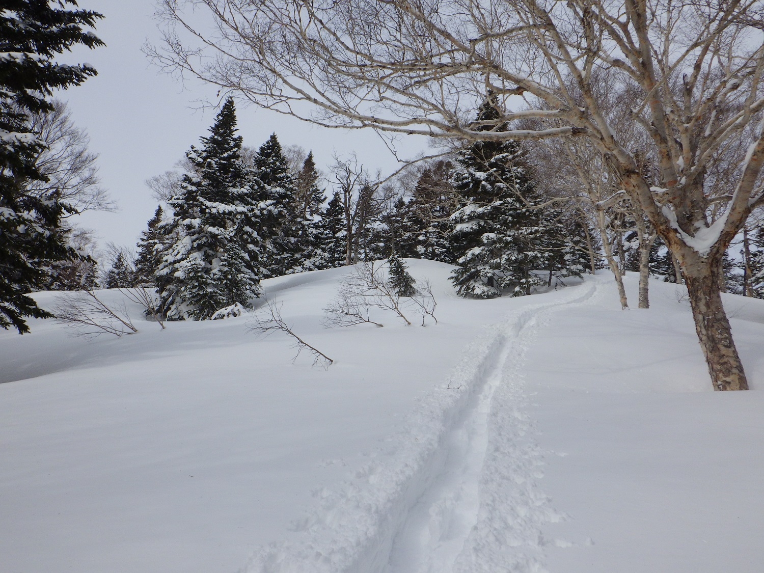 代替えテキスト