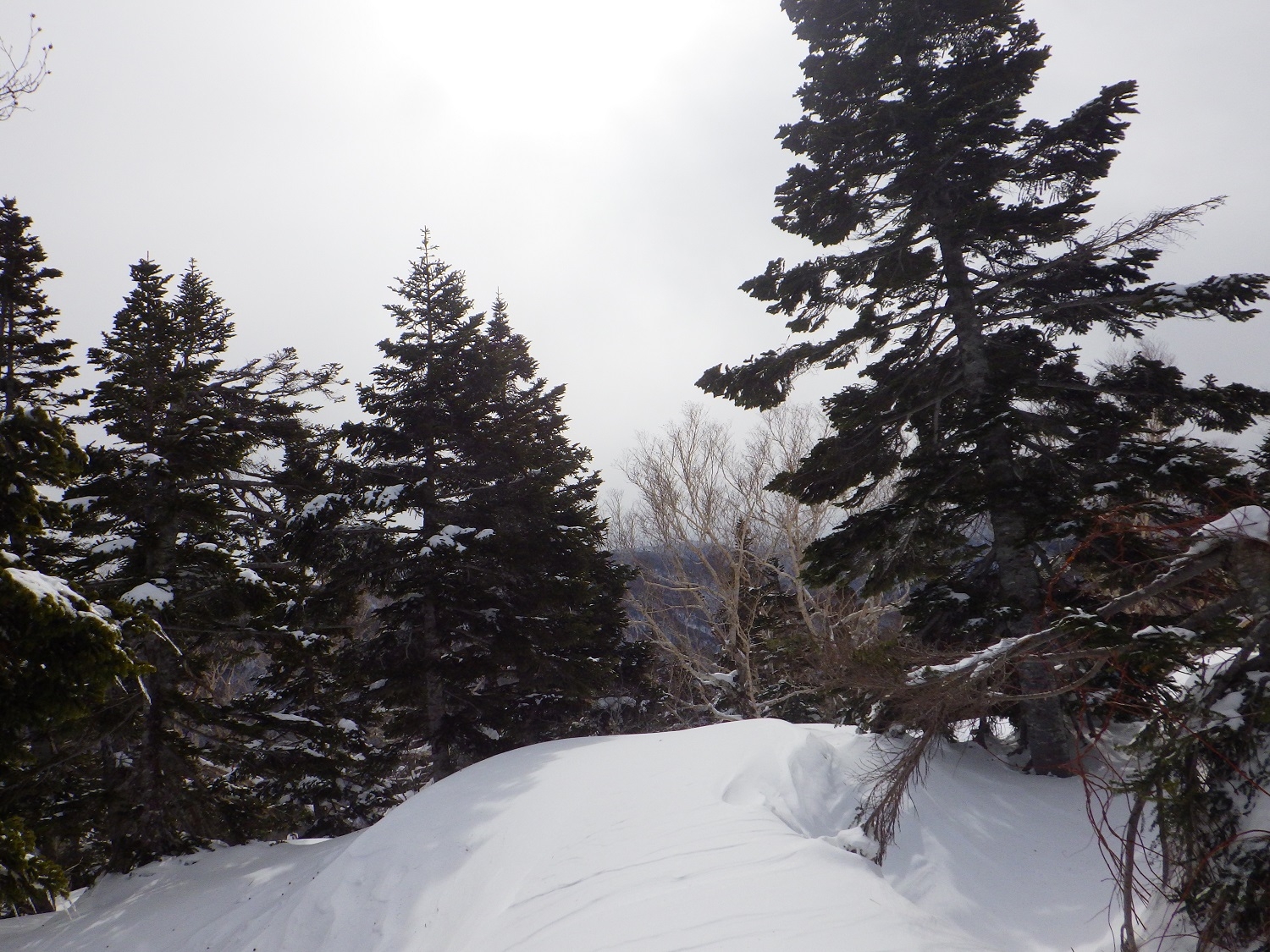 代替えテキスト