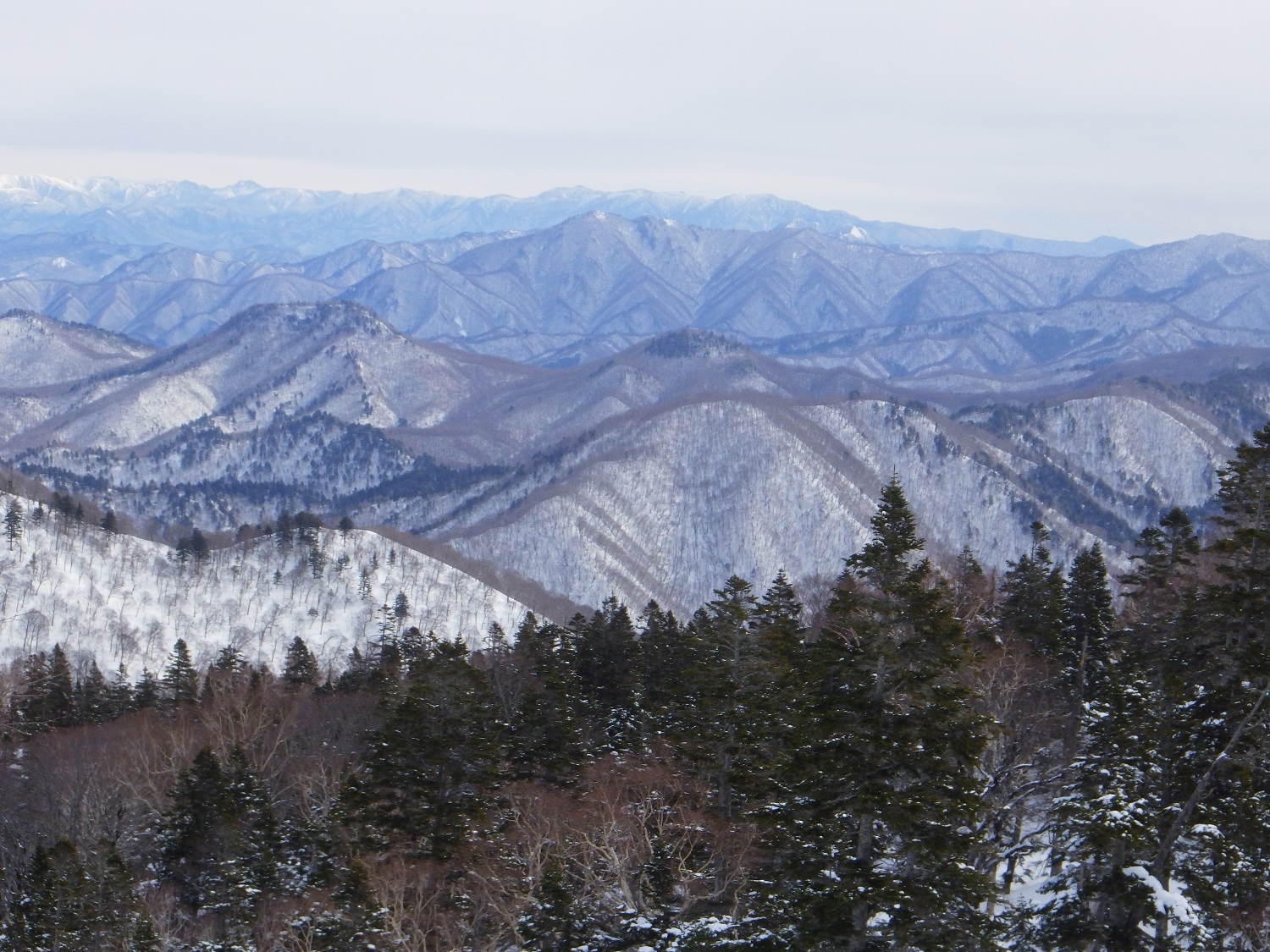 代替えテキスト