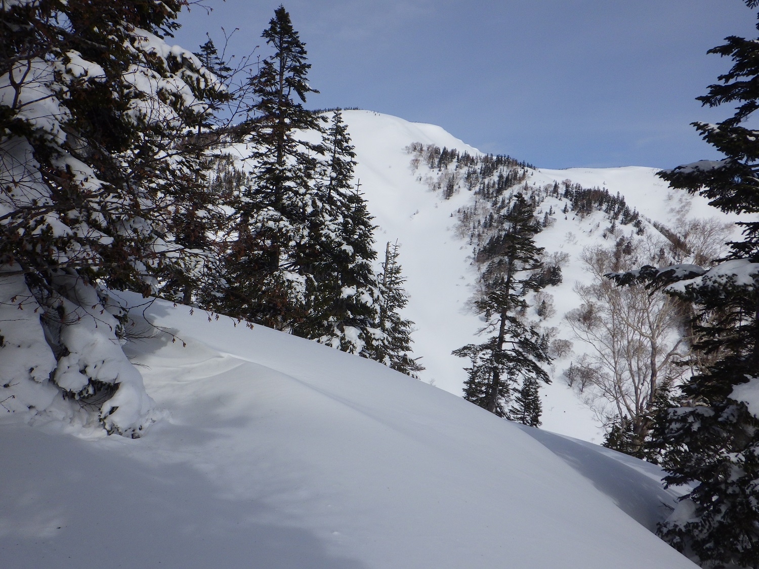 代替えテキスト