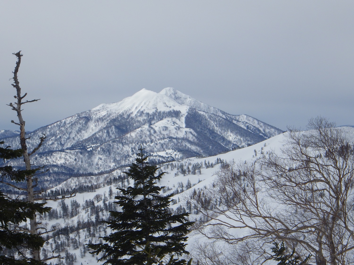 代替えテキスト