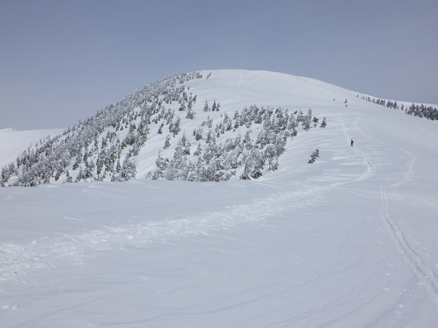 代替えテキスト