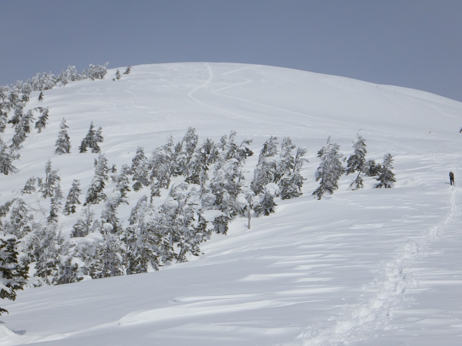 代替えテキスト