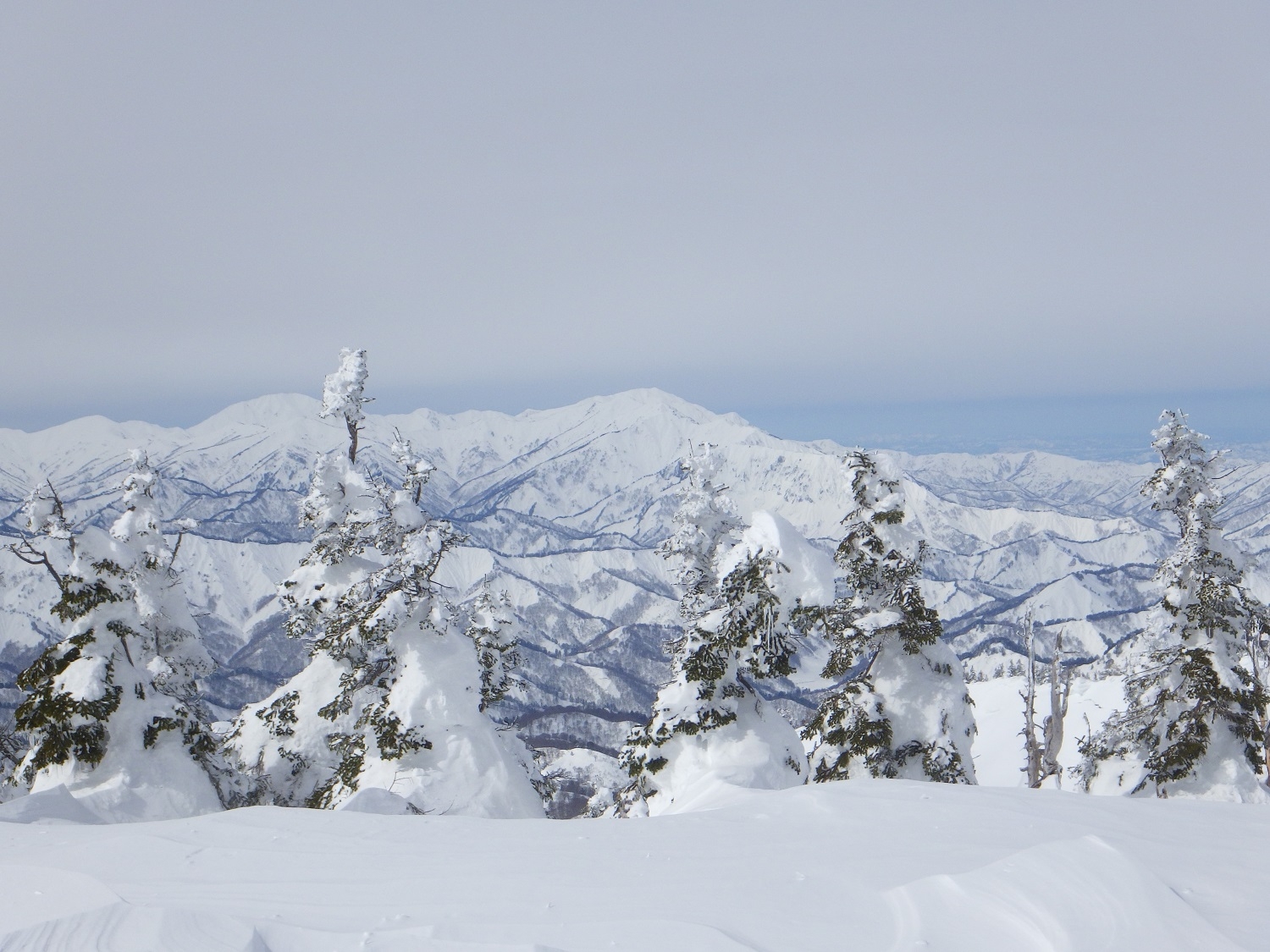 代替えテキスト