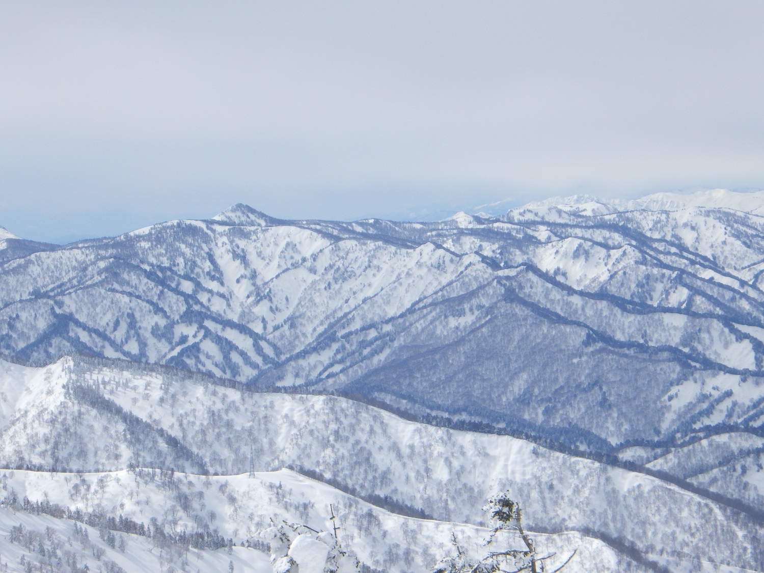 代替えテキスト