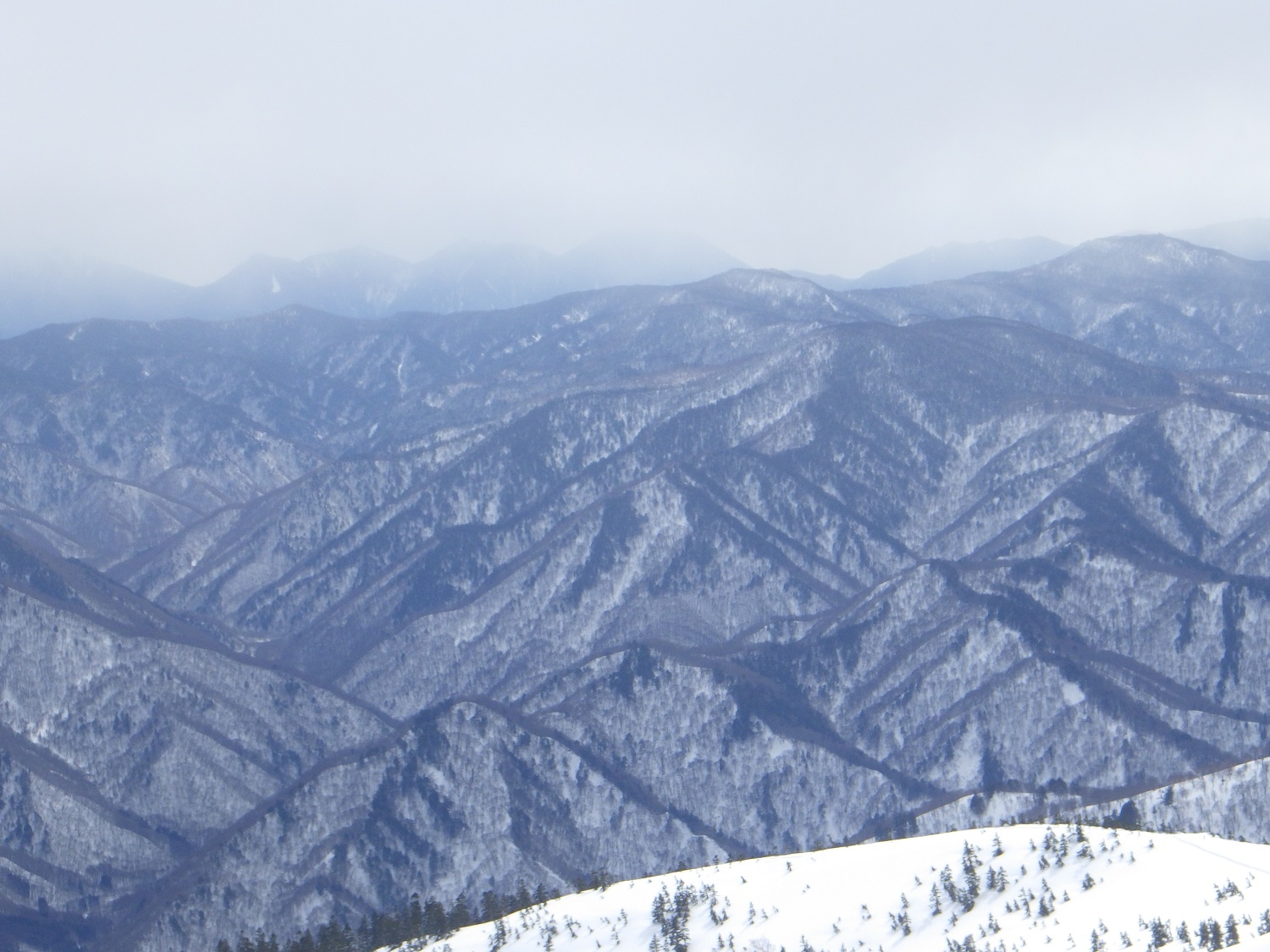 代替えテキスト