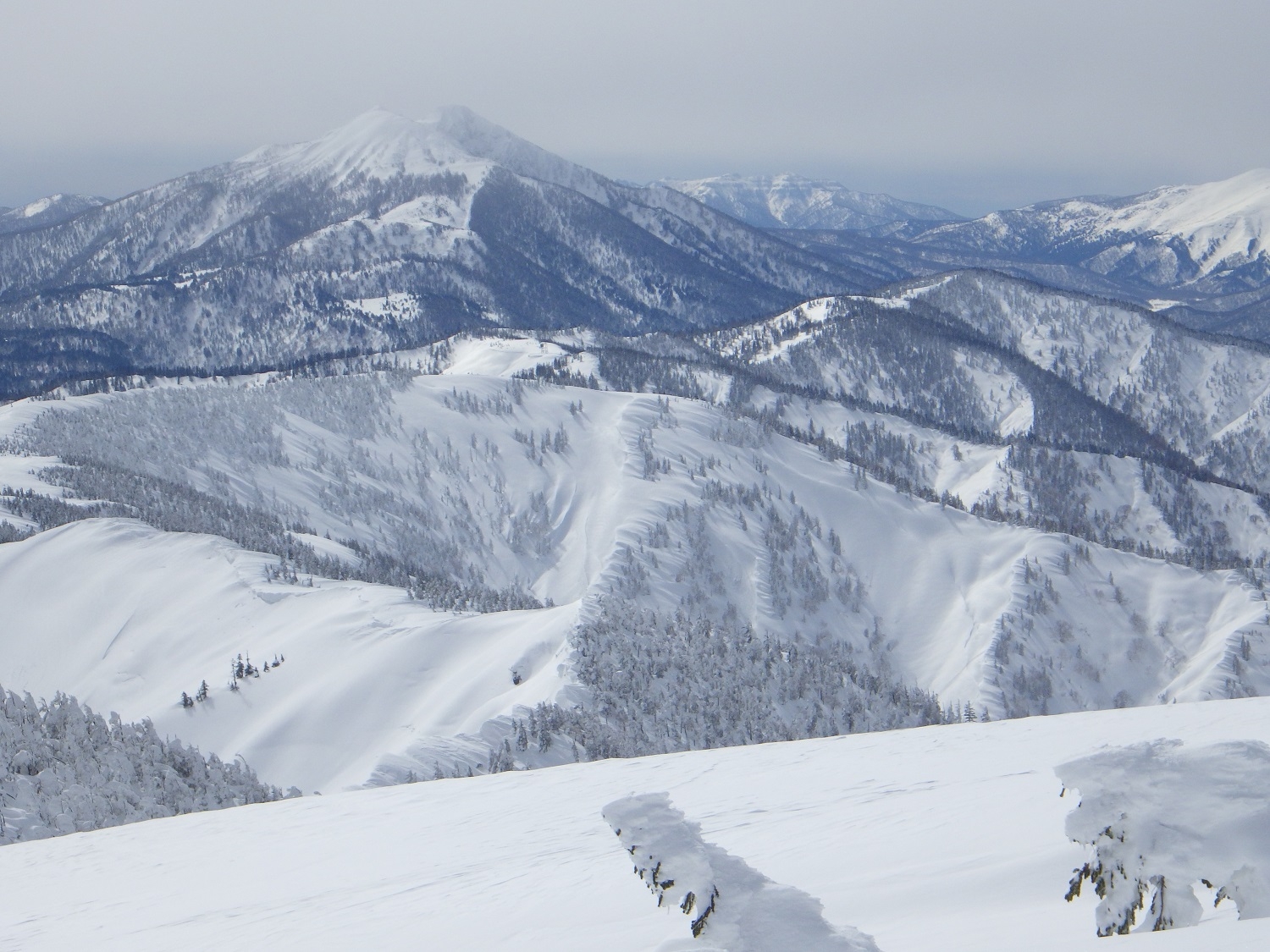 代替えテキスト