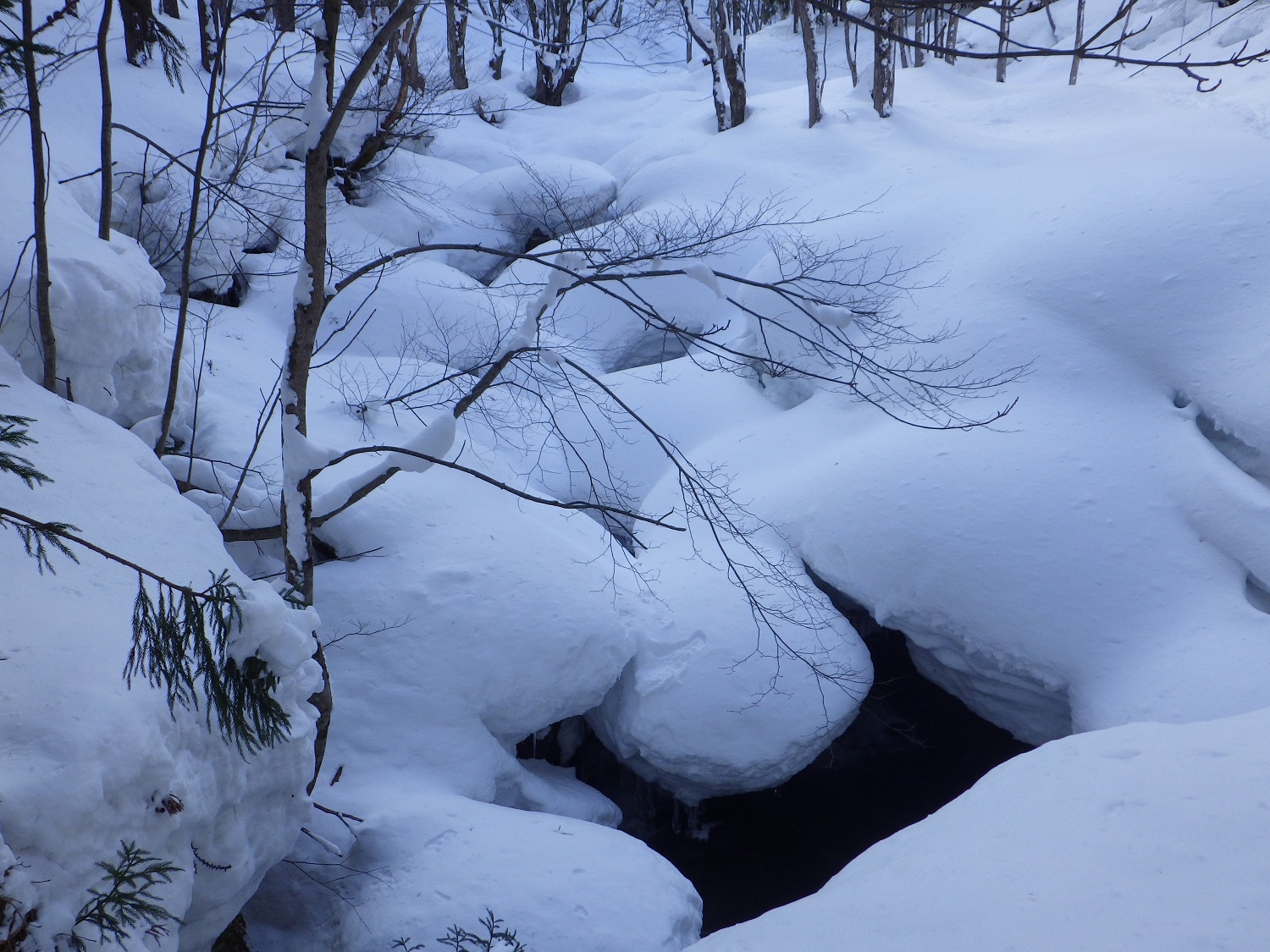 代替えテキスト