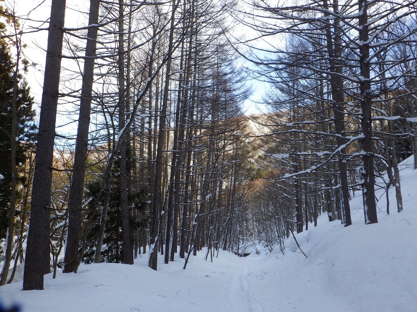 代替えテキスト