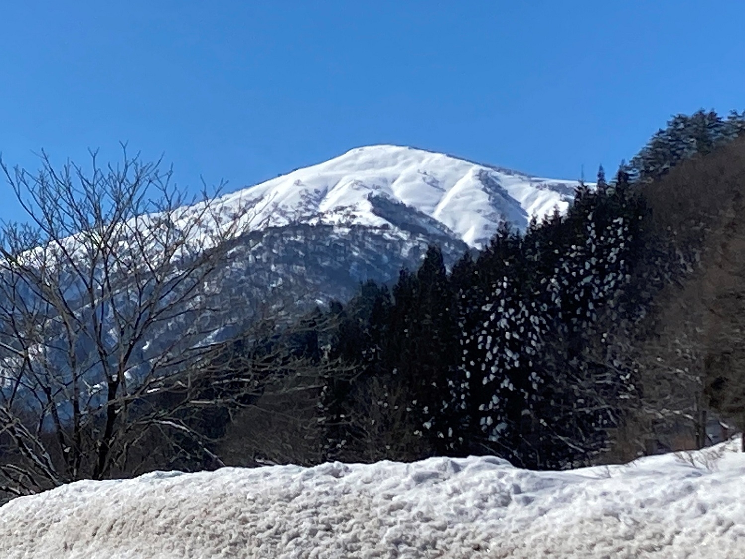 代替えテキスト