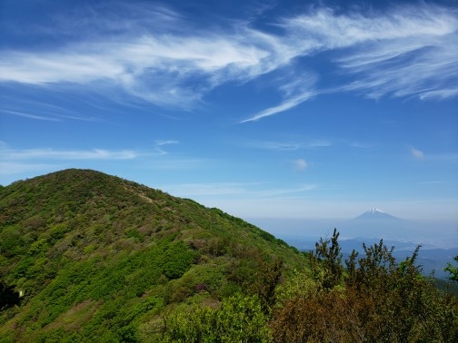 代替えテキスト