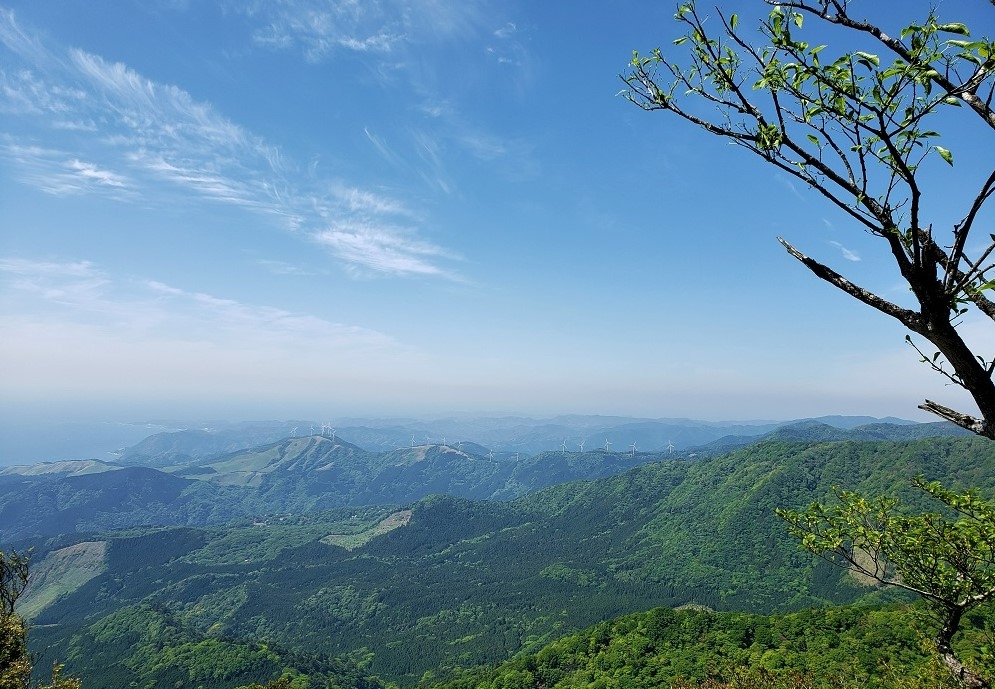 代替えテキスト