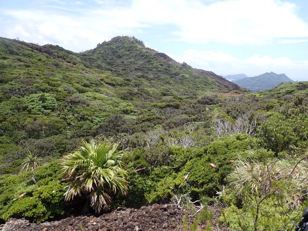 兄島大丸山の風景写真