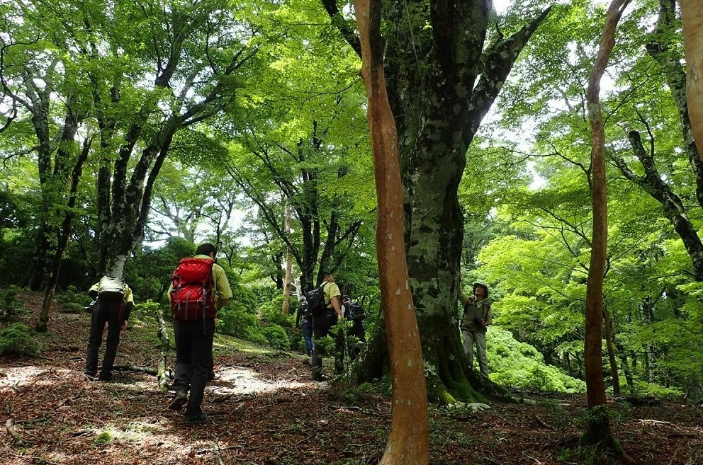 代替えテキスト