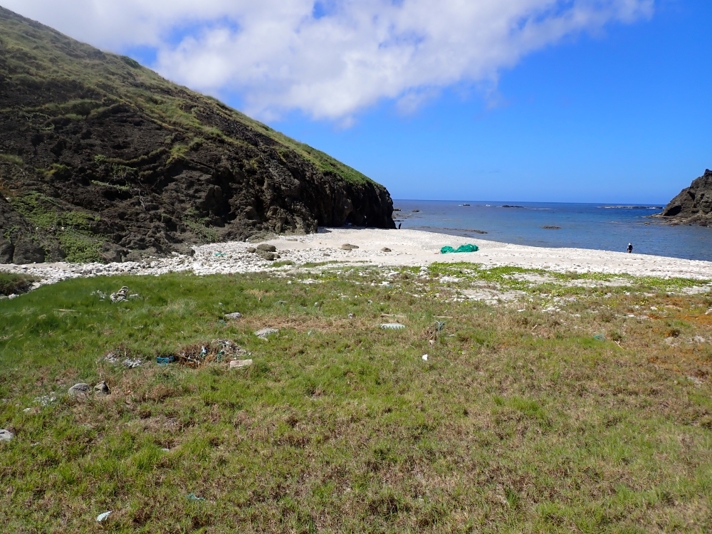 海岸清掃後の写真
