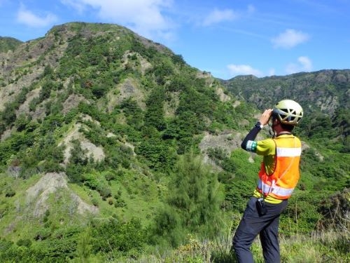 ノヤギを探す職員
