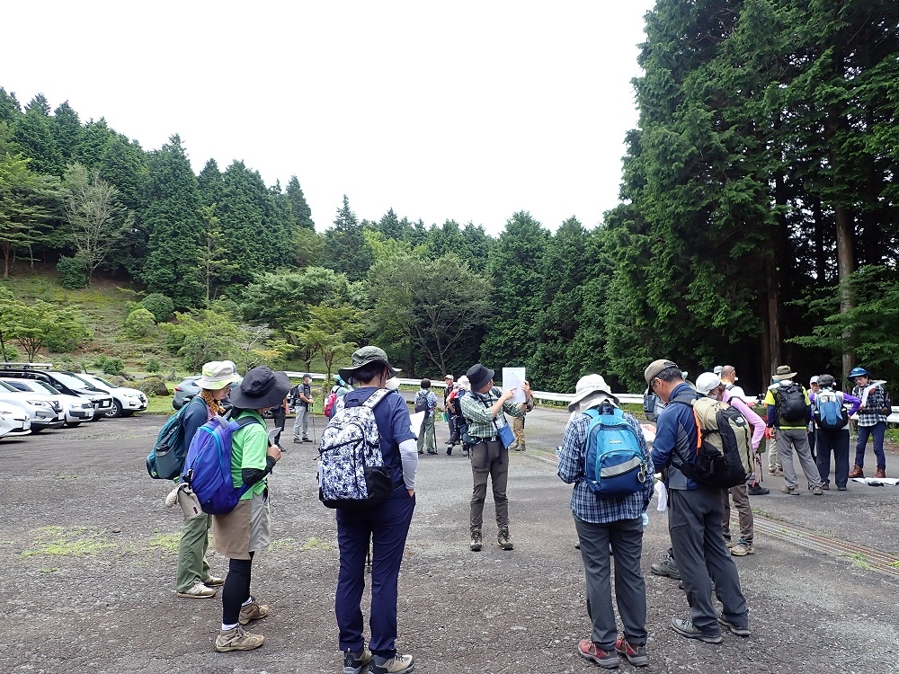 代替えテキスト