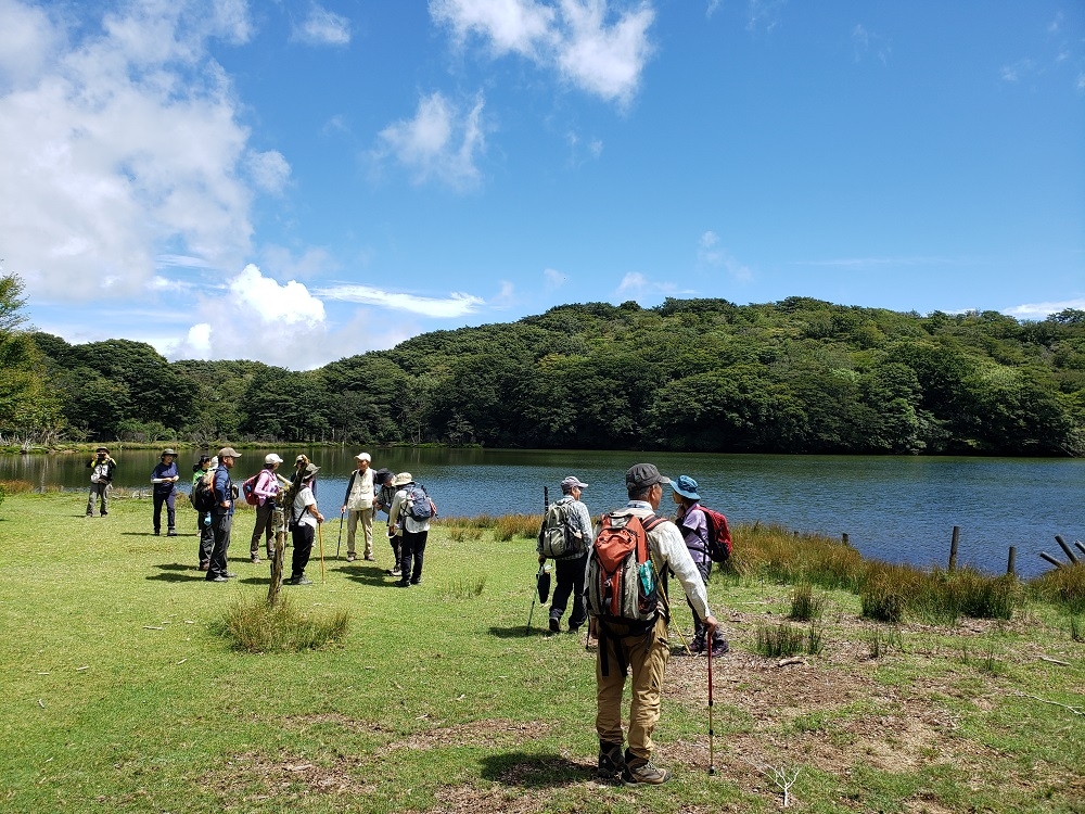 代替えテキスト