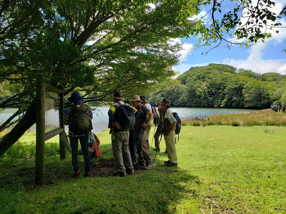 代替えテキスト