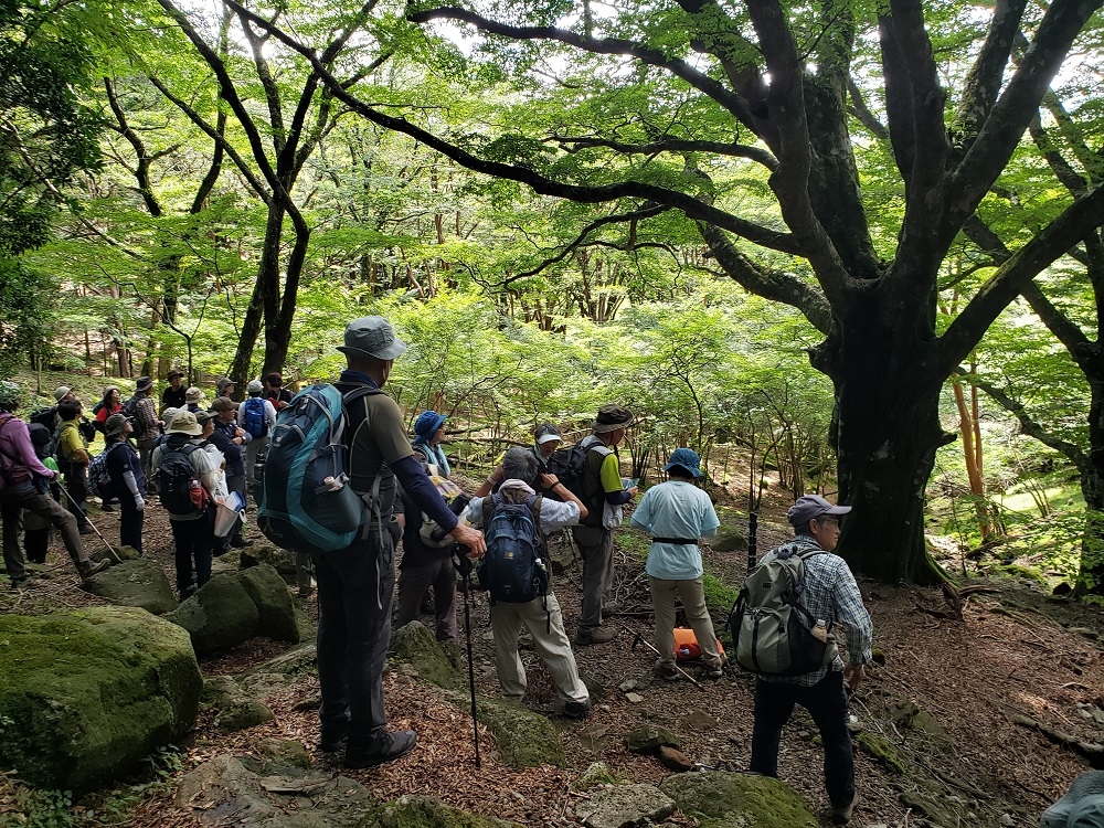 代替えテキスト